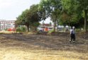 Bodenfeuer ausgeloest durch Strohballenpresse Koeln Holweide Colonia Allee P25
